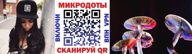 Галлюциногенные грибы Cubensis  Белебей 